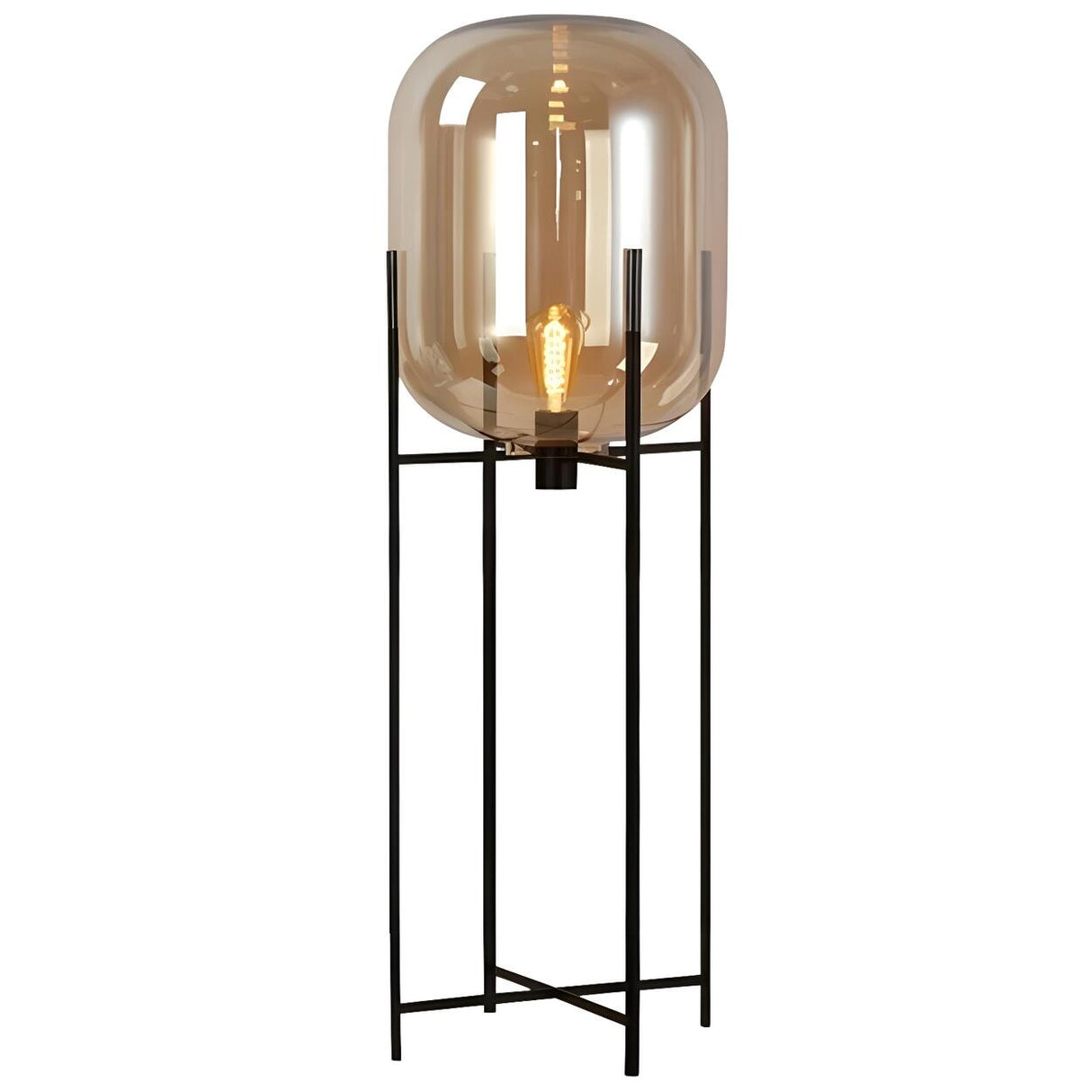 Industrial Glass Dome Black Metal Frame Floor Lamp Image - 15