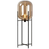 Industrial Glass Dome Black Metal Frame Floor Lamp Image - 15