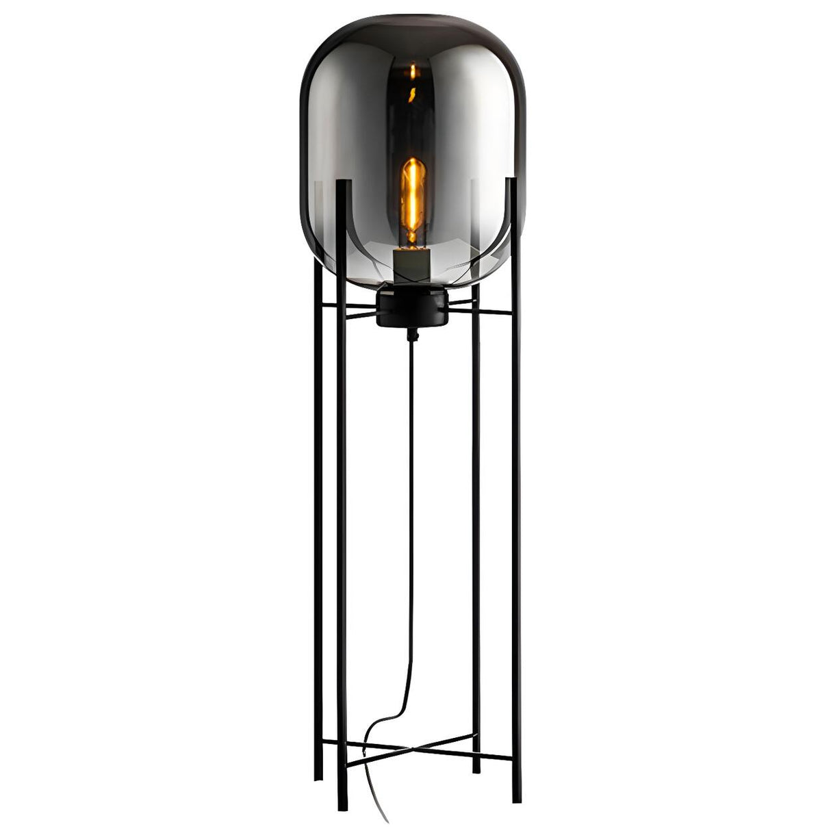 Industrial Glass Dome Black Metal Frame Floor Lamp Image - 19