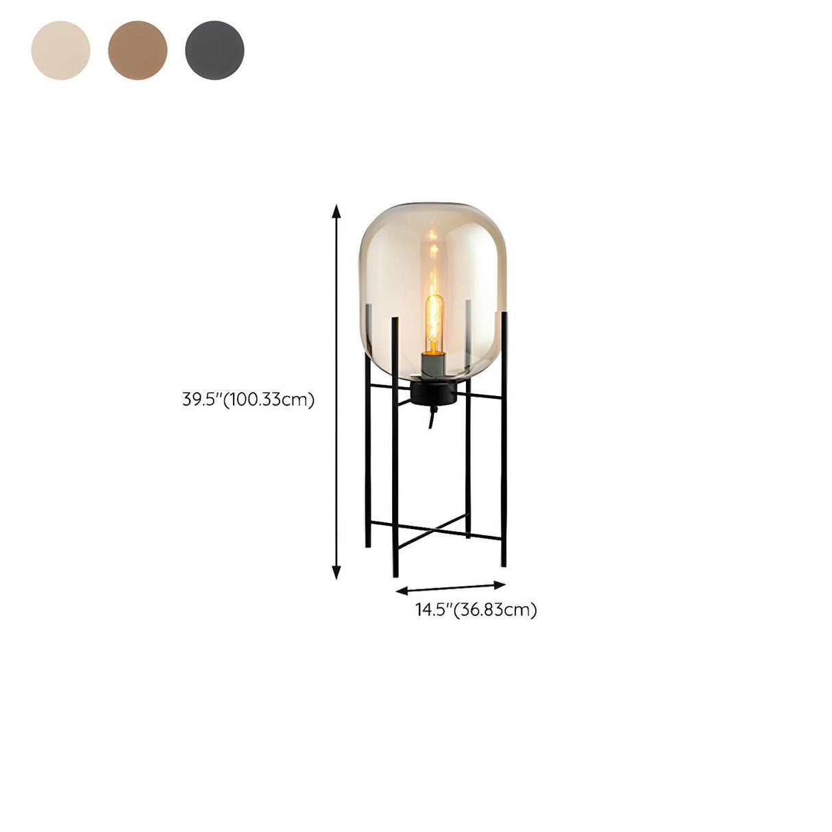 Industrial Glass Dome Black Metal Frame Floor Lamp Image - 21