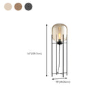 Industrial Glass Dome Black Metal Frame Floor Lamp Image - 22