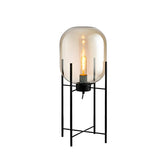 Industrial Glass Dome Black Metal Frame Floor Lamp Image - 4