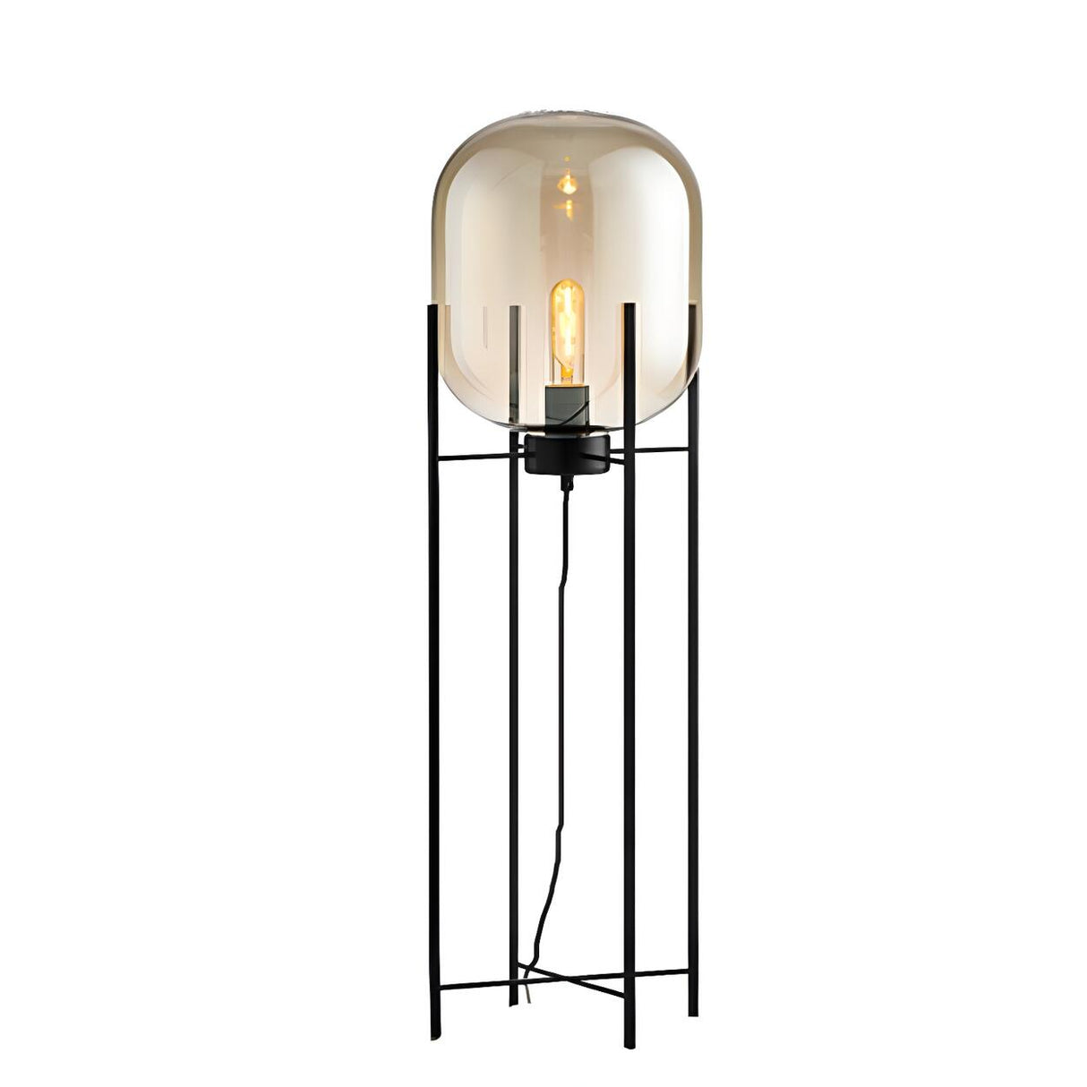 Industrial Glass Dome Black Metal Frame Floor Lamp Image - 5