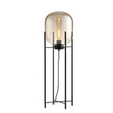 Industrial Glass Dome Black Metal Frame Floor Lamp Image - 5