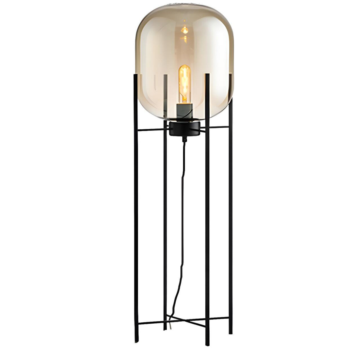 Industrial Glass Dome Black Metal Frame Floor Lamp Image - 7