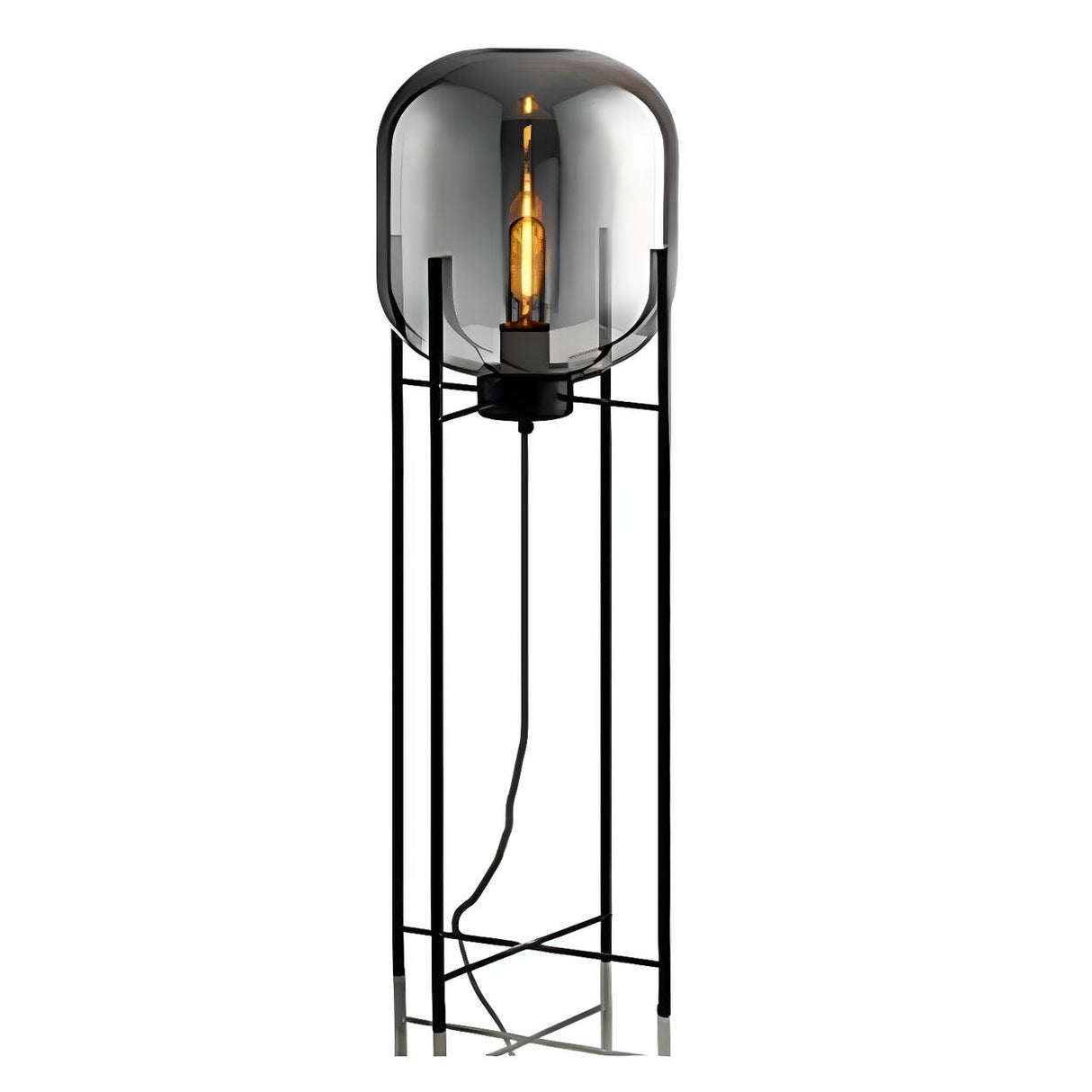 Industrial Glass Dome Black Metal Frame Floor Lamp Image - 8