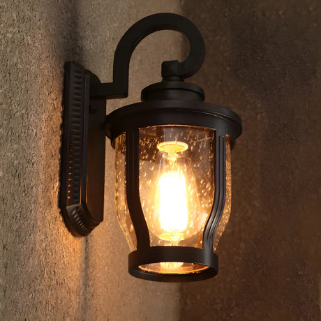 Industrial Gooseneck Glass Outdoor Black Wall Lamp Image - 1