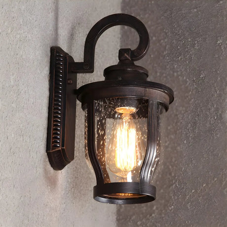 Industrial Gooseneck Glass Outdoor Black Wall Lamp Image - 2