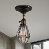 Industrial Rust Metal Caged Semi-Flush Mount Light Image - 1