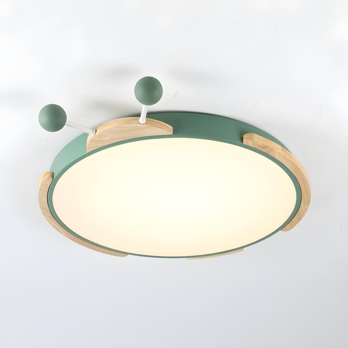 Kids Room Green Insect Round LED Flush Mount Light Image - 3