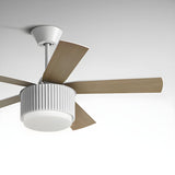 Kids Room Simple 5 Blades Modern Ceiling Fan With Light Image - 11