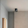 Living Room Simplicity Black Cylinder Flush Mount Light Image - 5