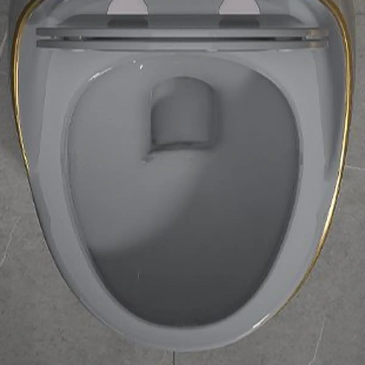 Luxury Grey One-Piece Gravity Siphon Flush Oval Toilet Image - 15