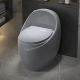 Luxury Grey One-Piece Gravity Siphon Flush Oval Toilet Image - 2