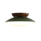 Mini Resin Green Bowl LED Semi-Flush Mout Ceiling Light Image - 7