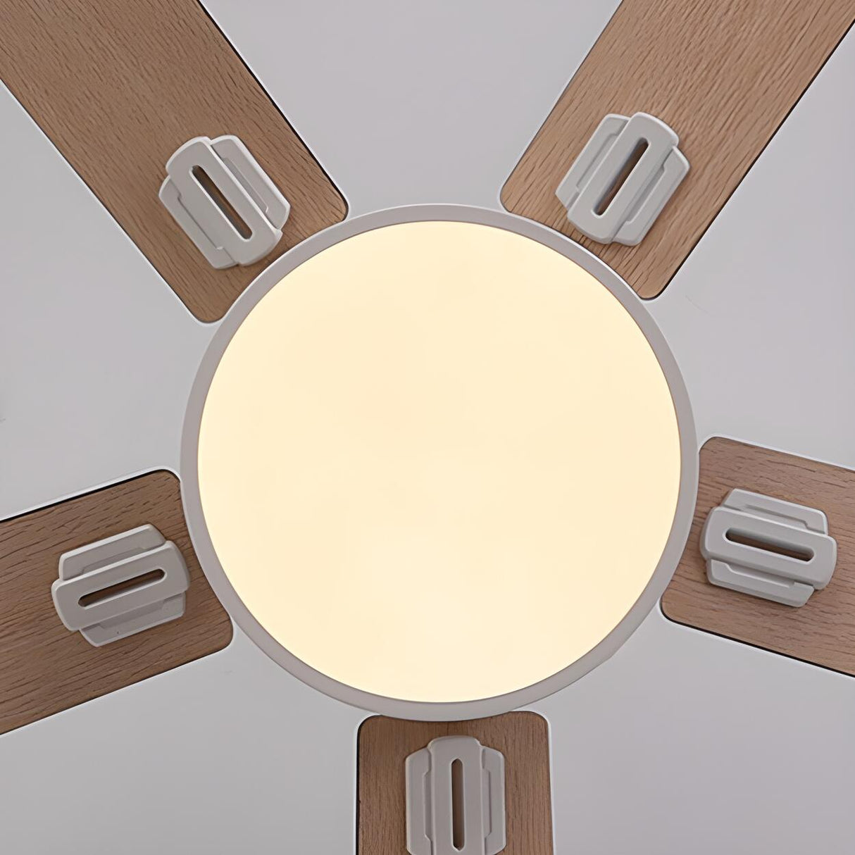 Minimalist 5-Blade Modern LED Ceiling Fan with Light Image - 10