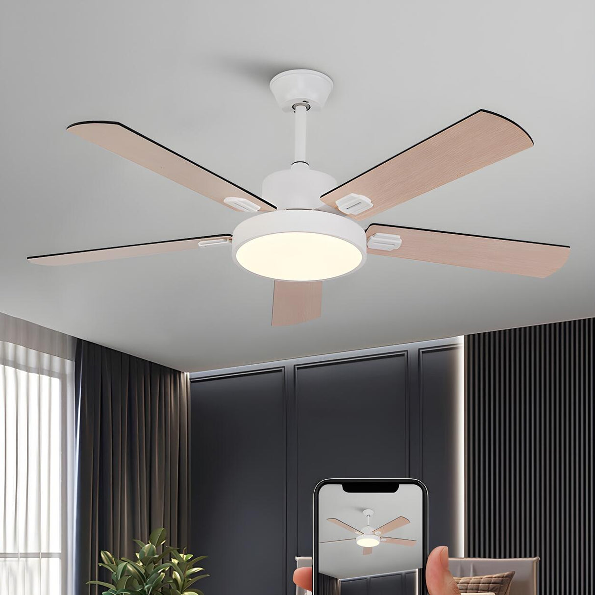 Minimalist 5-Blade Modern LED Ceiling Fan with Light Image - 15