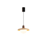 Minimalist Adjustable Height Wooden Pendant Light Image - 7