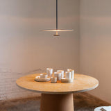 Minimalist Aluminum Acrylic Disc LED Pendant Light Image - 1