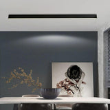 Minimalist Bedroom Black Linear LED Flush Mount Light Image - 8