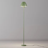 Minimalist Bedside Green Dome Adjustable Floor Lamp Image - 10