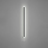 Minimalist Black Linear Acrylic and Metal Vanity Light Image - 14