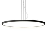 Minimalist Black Round Circle LED Living Room Pendant Light Image - 10