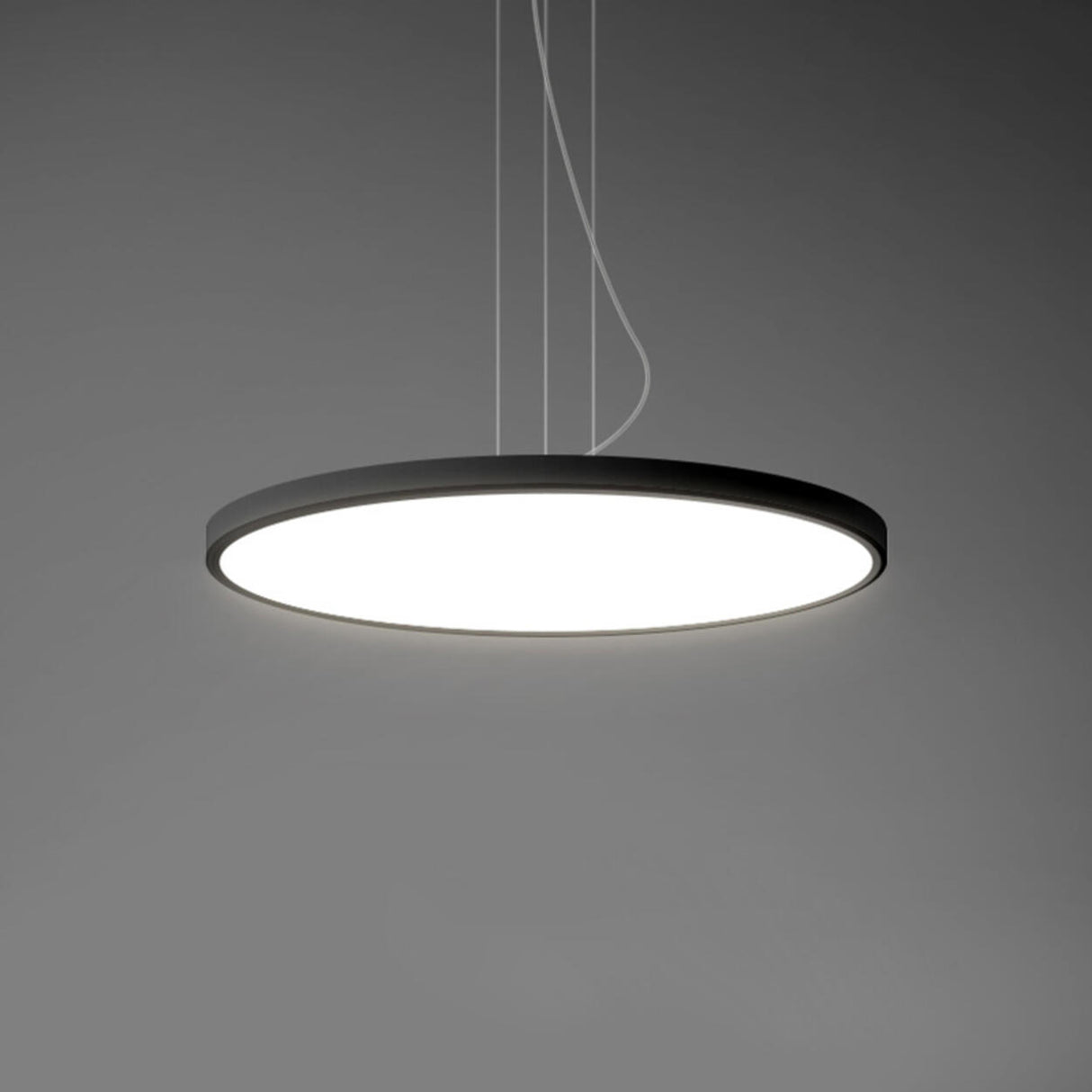 Minimalist Black Round Circle LED Living Room Pendant Light Image - 11