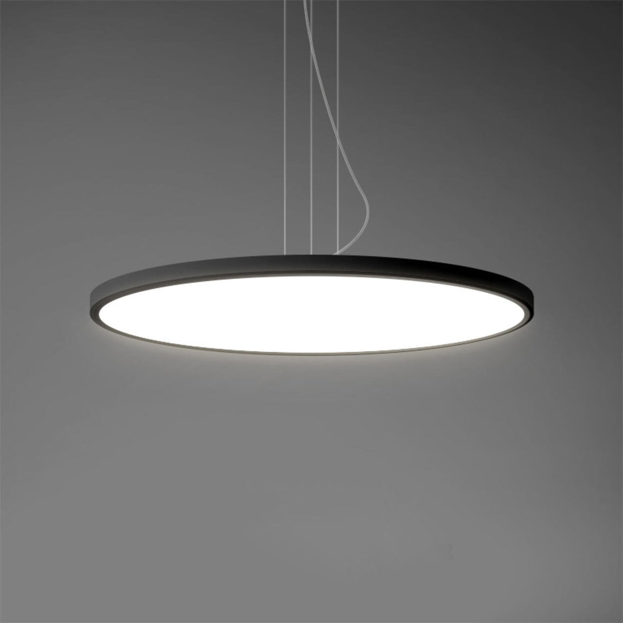 Minimalist Black Round Circle LED Living Room Pendant Light Image - 13