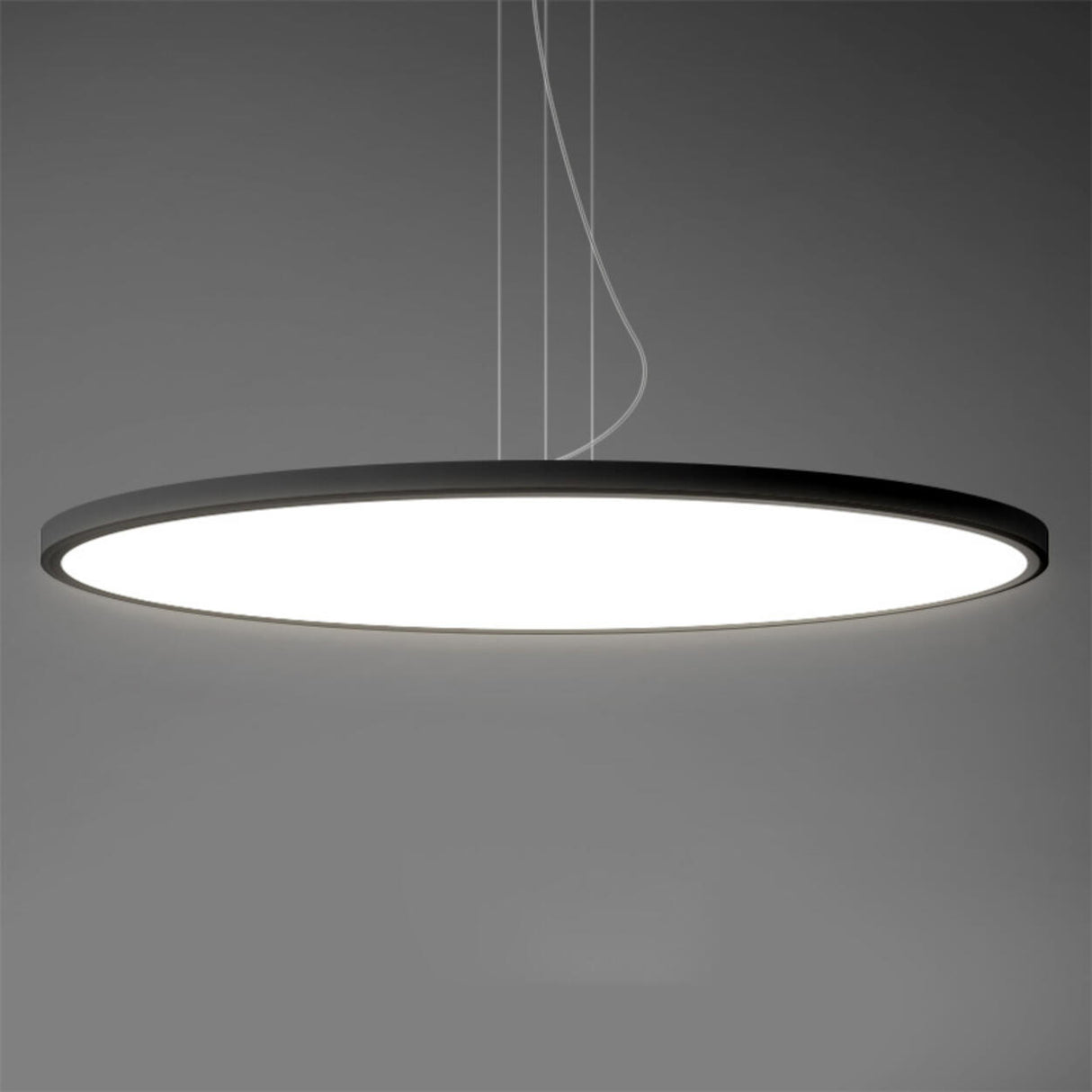 Minimalist Black Round Circle LED Living Room Pendant Light Image - 15