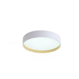 Minimalist Circular LED Flush Mount Ceiling Fixture Image - 10