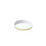 Minimalist Circular LED Flush Mount Ceiling Fixture Image - 5