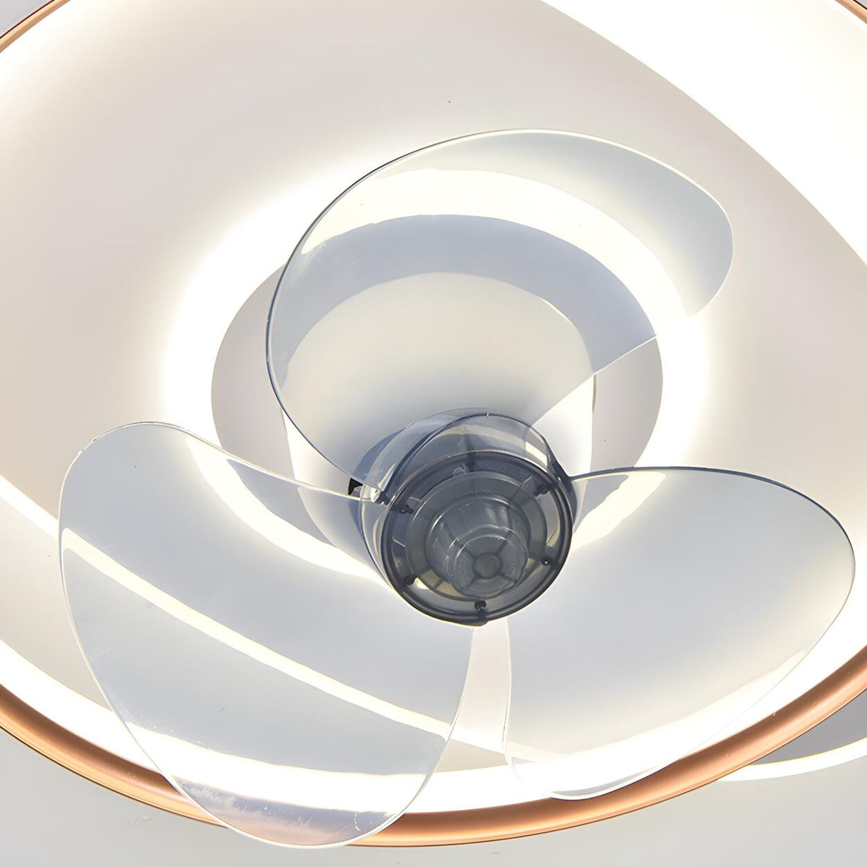 Minimalist Circular LED Modern Ceiling Fan with Light Image - 12