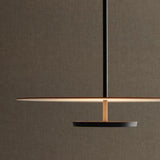 Minimalist Double Disc Acrylic LED Pendant Light Image - 10