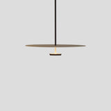 Minimalist Double Disc Acrylic LED Pendant Light Image - 7