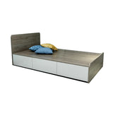 Minimalist Gray Oak Wooden Platform Queen Storage Bed Image - 1