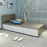 Minimalist Gray Oak Wooden Platform Queen Storage Bed Image - 9