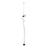 Minimalist Industrial Adjustable Hanging Floor Light Image - 3