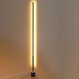 Minimalist LED Black Cylinder Metal Floor Lamp Image - 3