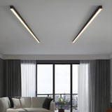 Minimalist Linear Black LED Flush Mount Ceiling Light Image - 4