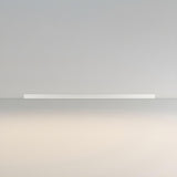 Minimalist Linear Black LED Flush Mount Ceiling Light Image - 5