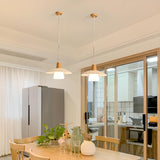 Minimalist Metal White Glass Wood Pendant Light  Image - 1