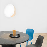 Minimalist Modern Sleek Black Metal Disc Pendant Light Image - 17