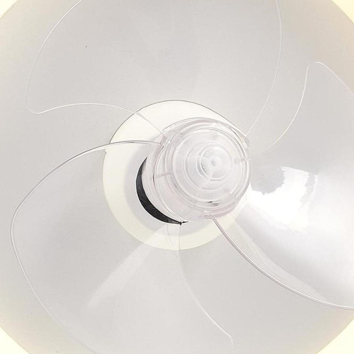 Minimalist Round Flush Modern Ceiling Fan with Light Image - 11