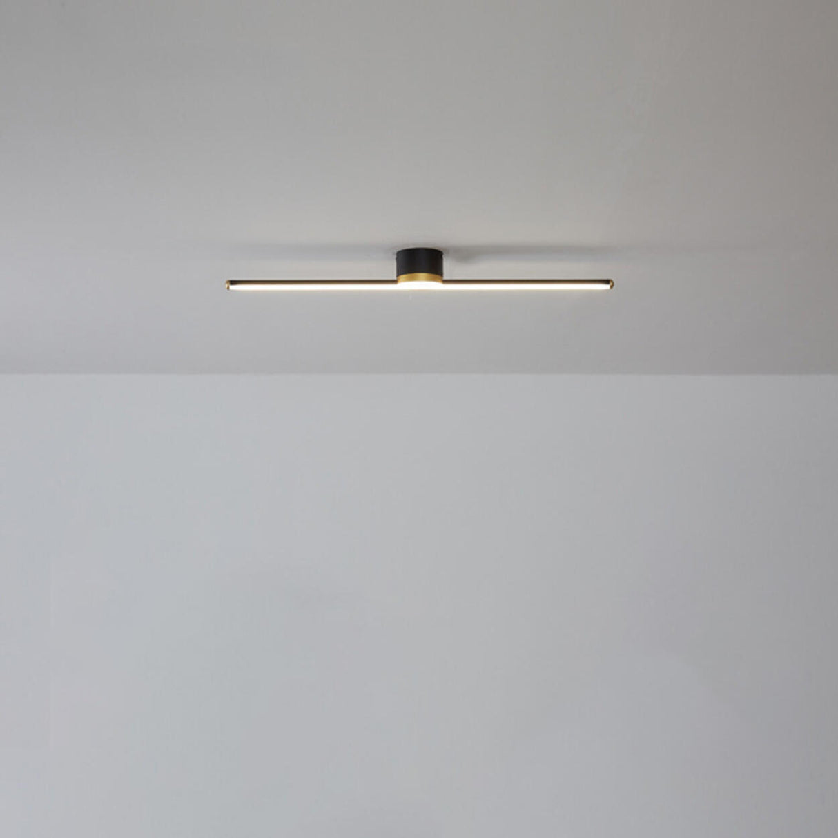 Minimalist Strip Linear LED Semi-Flush Mount Light Image - 2