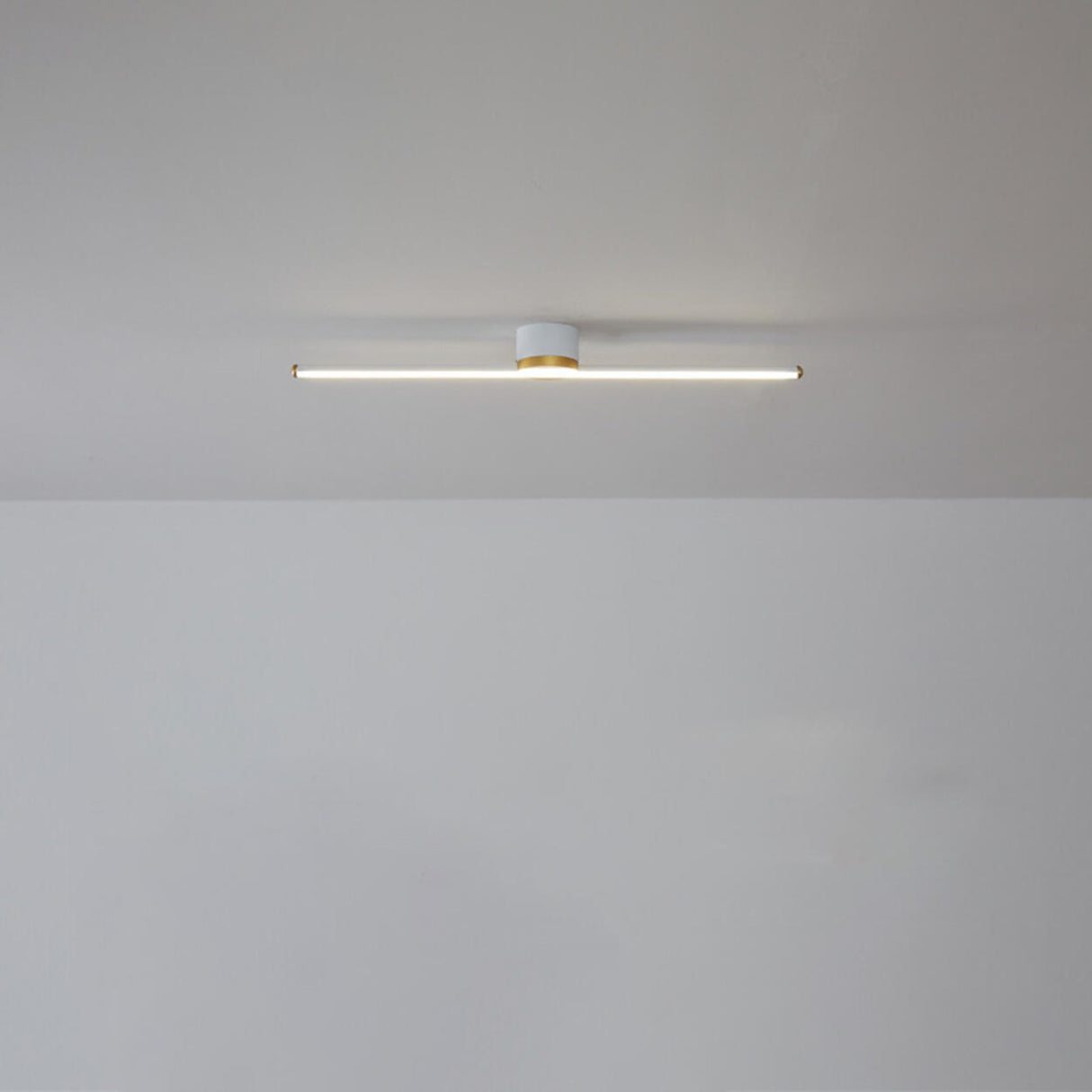 Minimalist Strip Linear LED Semi-Flush Mount Light Image - 9