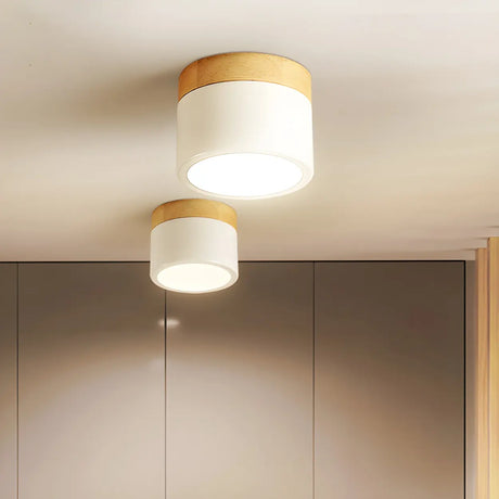 Minimalist White Cylinder LED Flush Mount Ceiling Light Image - 1