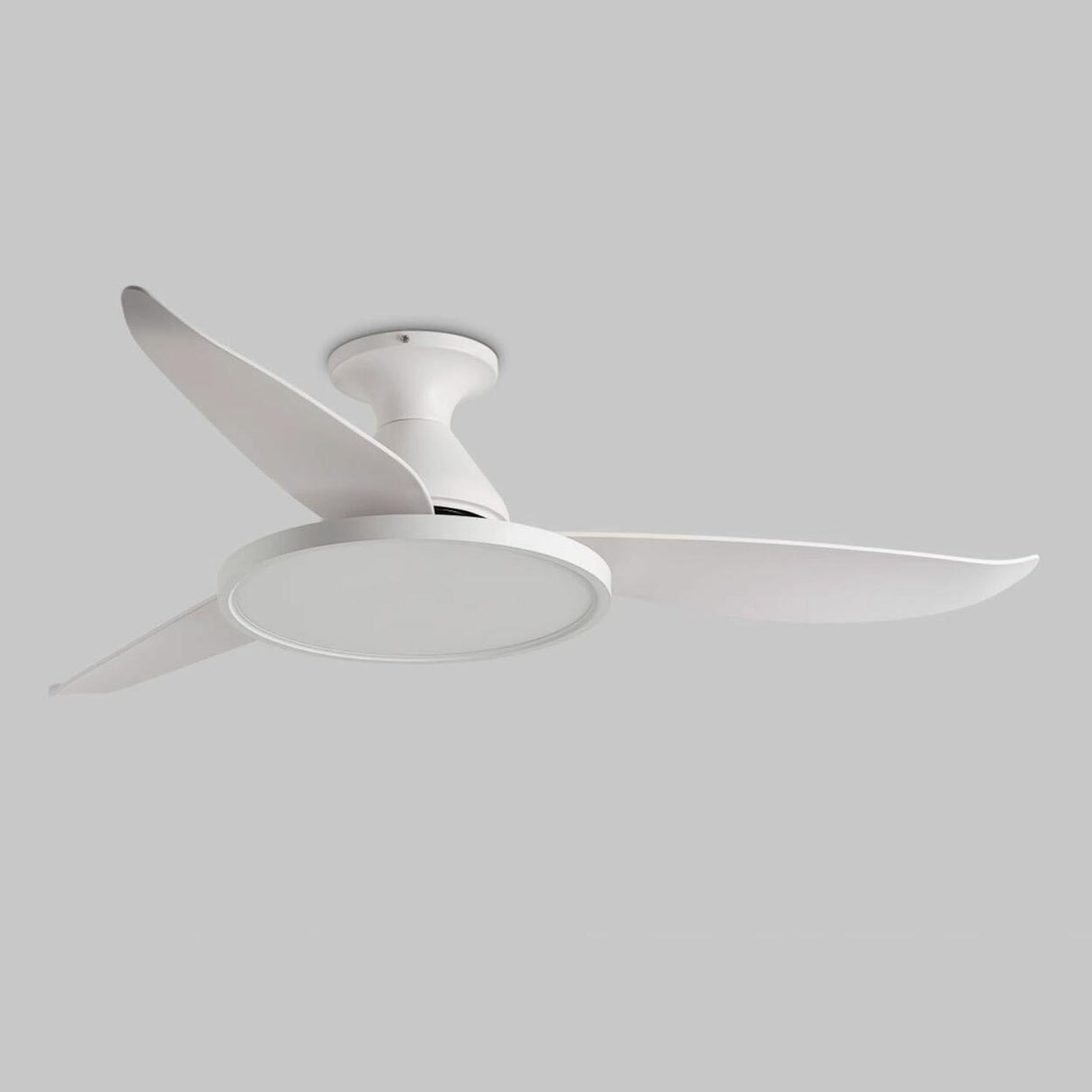 Minimalist White Remote Metal LED Ceiling Fan Light Image - 6