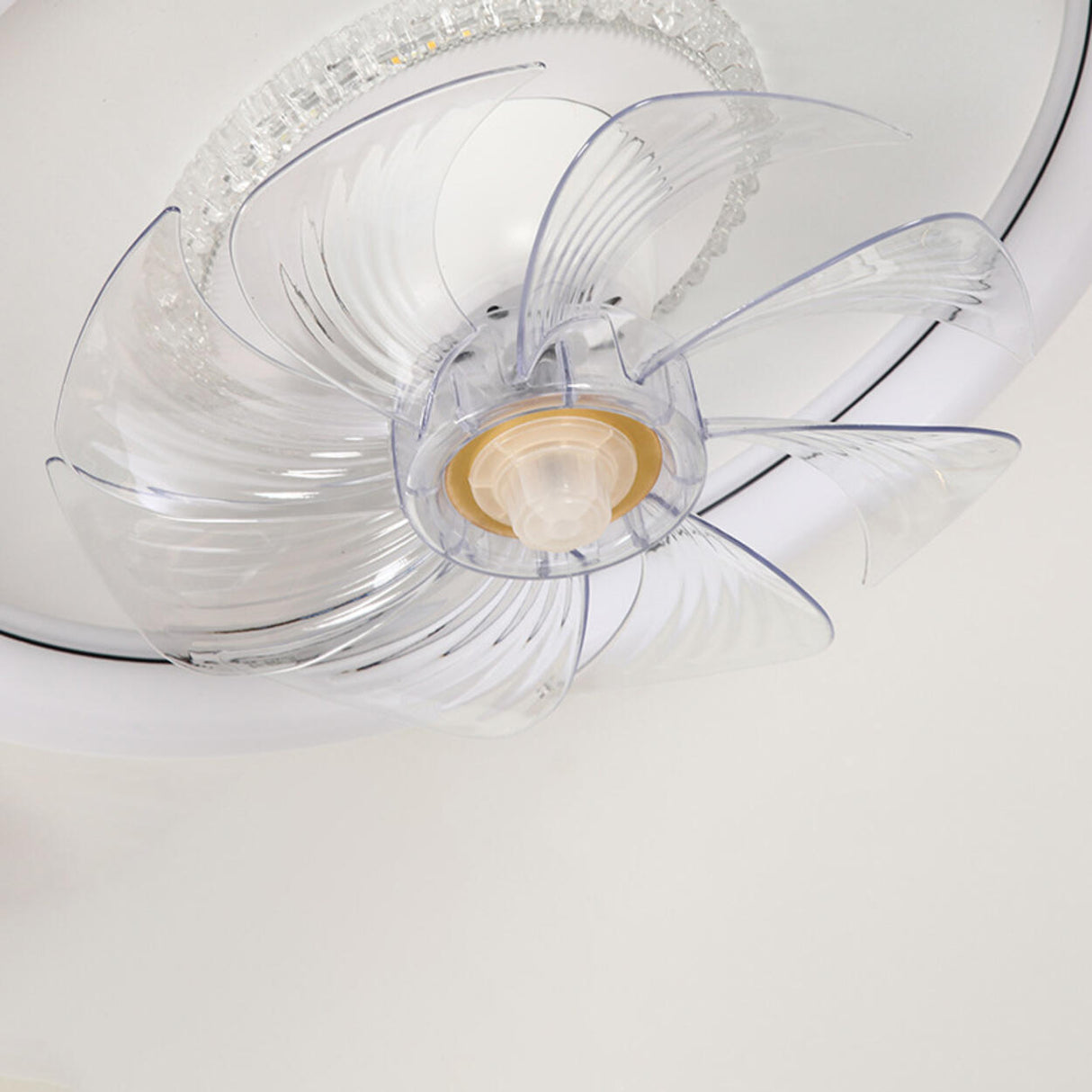 Minimalist White Round 8 Clear Blade Ceiling Fan Light Image - 7