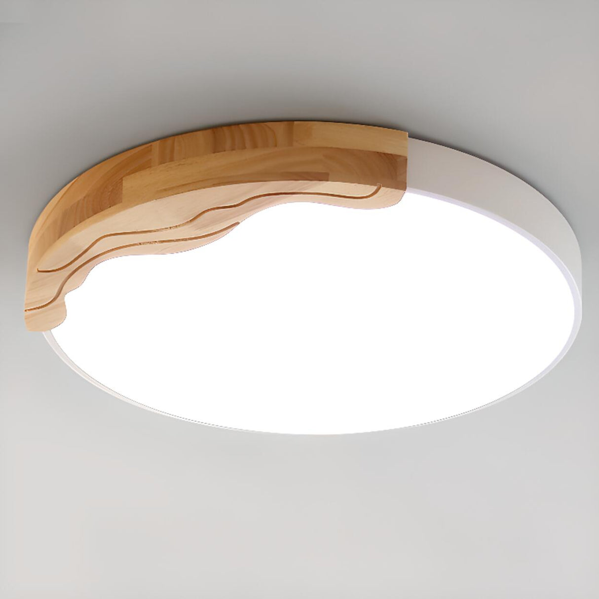 Minimalist White Round Bedroom Flush Mount Light Image - 16